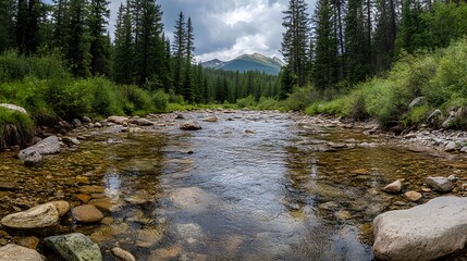 A serene river flows through a forested landscape under a cloudy sky.