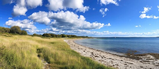 Serene Coastal Scene with Lush Greenery and Dramatic Cloudscape at Cape During a Sunny Day