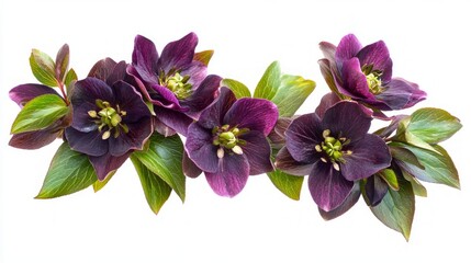 Stunning Dark Purple Flowers Arrangement