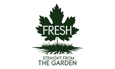 Fresh Food Doodle Icon Set Featuring Labels, Stickers, and Tasty Mascots