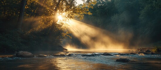 Fototapeta premium Golden morning rays illuminating a serene river surrounded by misty forest tranquility