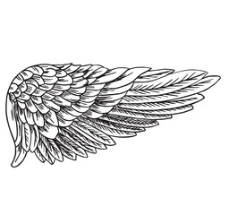 Angel wings, bird wings. Vintage stylized birds wings. Wing in open position drawn on a white background with black ink. Sketch hand drawn