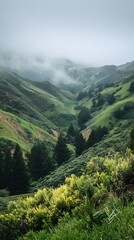 Naklejka premium Serene green valleys enveloped in misty fog and lush greenery.