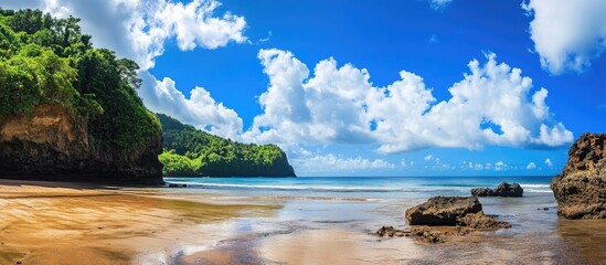 Obraz premium Tropical paradise beach with clear ocean water under a bright blue sky perfect for summer vacations and relaxation by the shore.