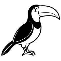 Obraz premium toucan bird silhouette vector illustration line art transparent background