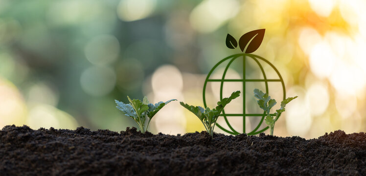 Growth of eco-friendly agriculture and forest biomass strengthens community ecology, promoting green, plant-rich nature. eco, green, agriculture, forest, biomass, ecology, community, plant, nature. - Powered by Adobe