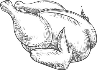 Delicious Roasted Chicken, Hand-Drawn Vector, Graphic Style, Cartoon Illustration, Black and White, Sketch Style, Isolated on White Background