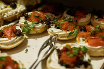 Delicious appetizers featuring smoked salmon served at a hotel in Turkiye for guests