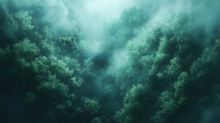 Fototapeta premium Lush green forest enveloped in ethereal mist and tranquility.