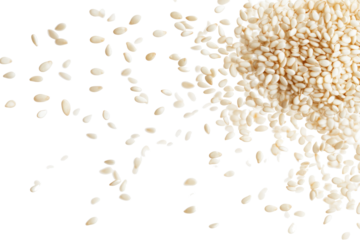 sesame seeds flying on transparent background
