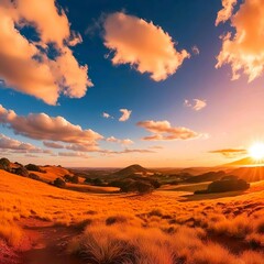 Naklejka premium sunset in the desert