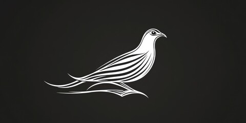 Obraz premium Black and White Bird