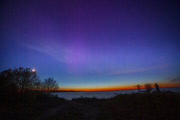 Display of purple and pink aurora borealis over the Baltic sea in Estonia. Trees silhouettes.