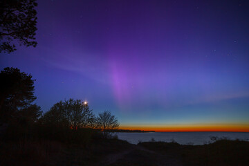 Display of purple and pink aurora borealis over the Baltic sea in Estonia. Trees silhouettes.