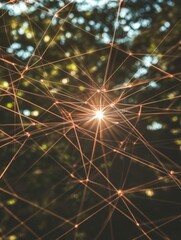 Digital Network in Nature