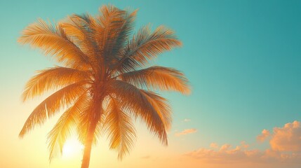 Golden Hour Palm Tree Silhouette at Sunset