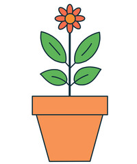 flower in a pot