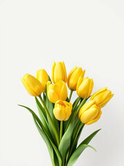 Yellow tulip spring bouquet on a pure white background, love, arrangement, holiday