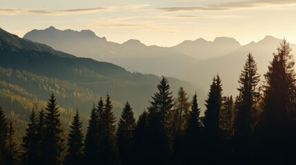 Misty Mountain Pine Forest at Dawn
