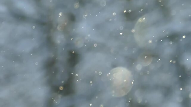 Fine snow slowly falls sparkling in the rays of the winter sun .Slow-motion