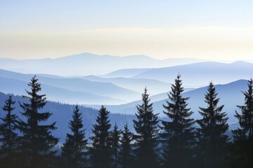 Awe-inspiring Mountain Scenery, Misty Peaks, and Silhouettes of Pine Trees