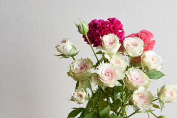 薔薇とケイトウ
