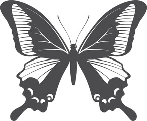 Black butterfly drawing. Summer nature black icon