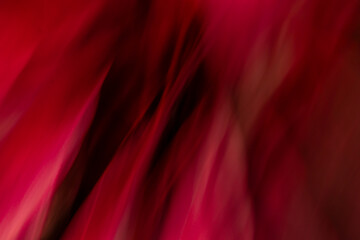 Abstract red lines. Intentional camera movement or ICM.