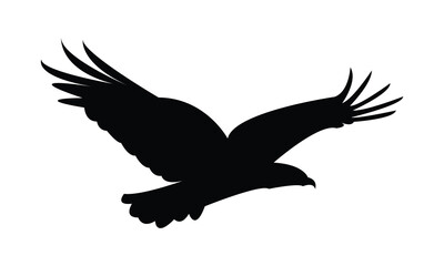 Flying Eagle Silhouette Design  And Vector Illustration. 