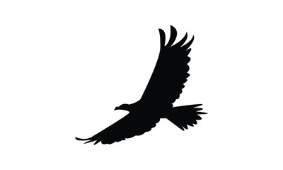 Flying Eagle Silhouette Design  And Vector Illustration. 