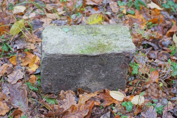 one old gray dirty big brick lies on the ground among brown fallen leaves on the autumn street
