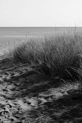 A dreamy blurry view of morning in the sea in black and white