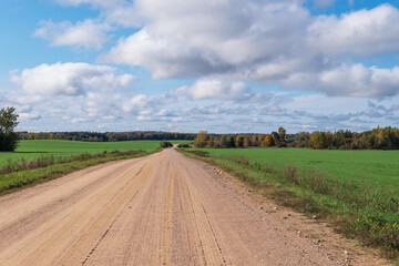 Autumn rural landscape. A country road on a fine autumn day