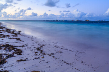 A beach with a lot of seaweed and a few boats in the water