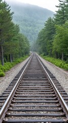 Obraz premium Fog envelops the old railroad track, creating a serene atmosphere as it leads through the dense forest under soft morning light
