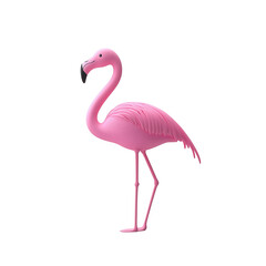 Fototapeta premium A vibrant pink flamingo standing gracefully, showcasing its long neck and slender legs against a clean white background.