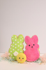 Sweet sugar cookies for easter.