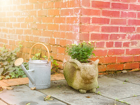 waiting can and rabbit shaped planter on cement patio in sunlight