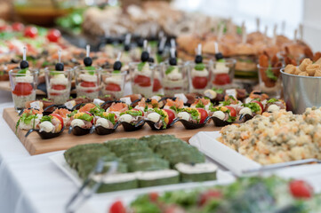 Wedding Table With Food. Snacks and Appetizer on the Table. Fish and Raw Meat with Vegetables.