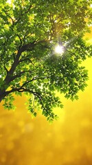 Fototapeta premium Image of old oak tree branches with sunlit leaves against a warm background color, warm background color, landscape photography, sky and tree combination, tree silhouette, natural light
