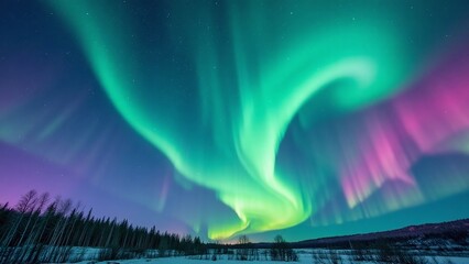 Northern Lights scene in natural outdoor setting