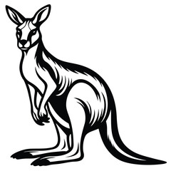 Kangaroo Silhouette Vector Illustration Logo Design