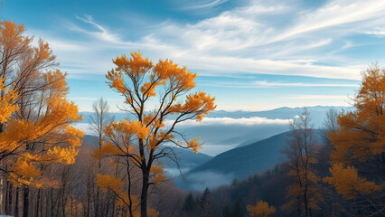 Fototapeta premium Scenic view of forest with vibrant yellow leaves in December, scenic, outdoors, seasonal