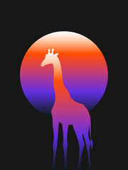 Flowww Me ® Gradient Mix