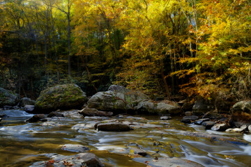 Sunlight filters through a canopy of autumn foliage, casting a warm glow across a flowing creek. Large rocks break the water's surface, adding to the serene forest setting.