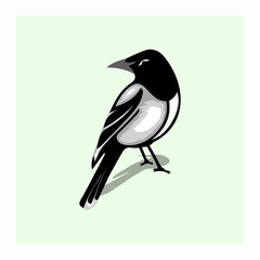 Bold Black amp White Magpie Vector Art