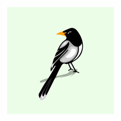 Bold Black amp White Magpie Vector Art