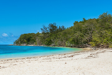 Beautiful Sandy Beach At Anse St Jose