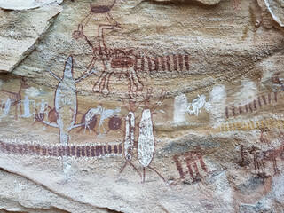 Cave paintings in Serra da Capivara, Piauí