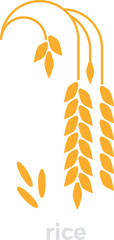 Rice crop color icon. Farm cereal grain